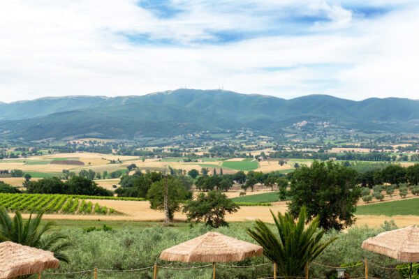 Panorama della campagna e delle colline umbre dal Nido del Falco a Montefalco
