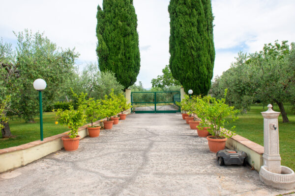 Viale d’ingresso del Nido del Falco a Montefalco con cipressi e piante in vaso