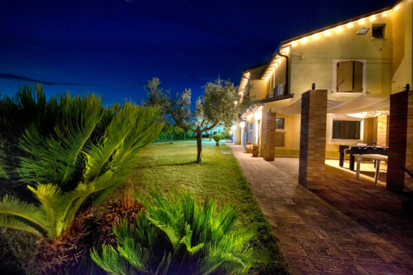 Giardino con palma e porticato illuminato del Nido del Falco a Montefalco