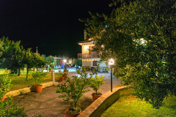 Vialetto tra gli ulivi nel giardino illuminato del Nido del Falco a Montefalco