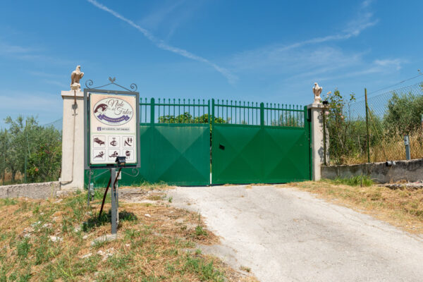 Cancello verde d’ingresso con insegna dell’affittacamere Il Nido del Falco a Montefalco