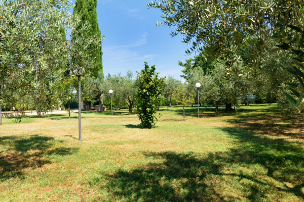 Prato e alberi nel giardino del Nido del Falco a Montefalco
