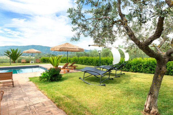 Giardino del Nido del Falco con ulivo, lettini e piscina sullo sfondo