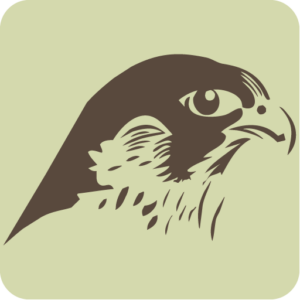 Logo dell’affittacamere Il Nido del Falco a Montefalco